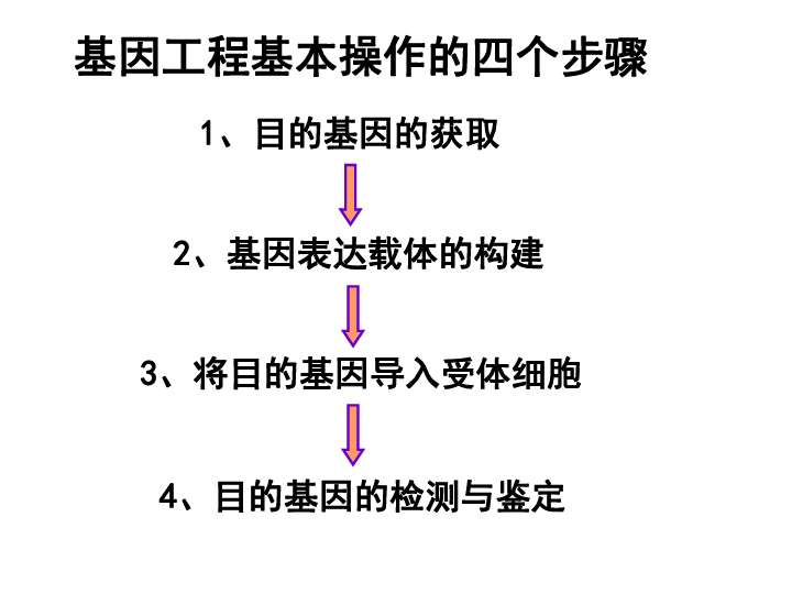 第二次人口红利的基础_人口红利(3)