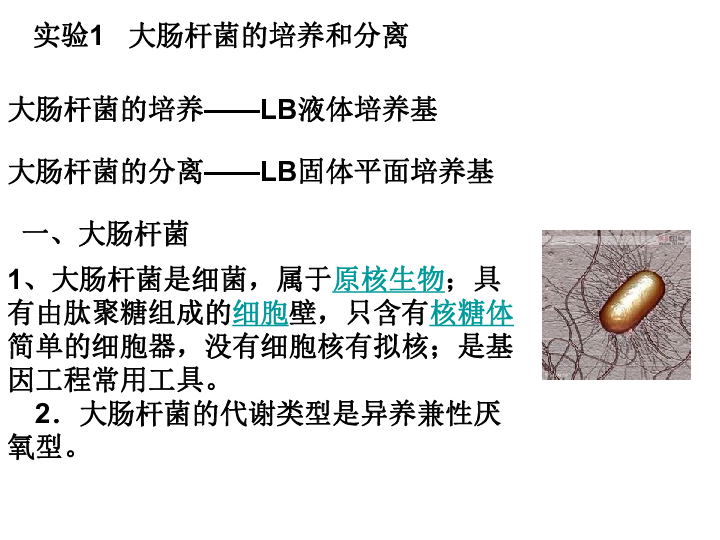 生物工程的基本原理是_高中生物 5.1生态工程的基本原理指点迷津(结)新人教版选修3(3)