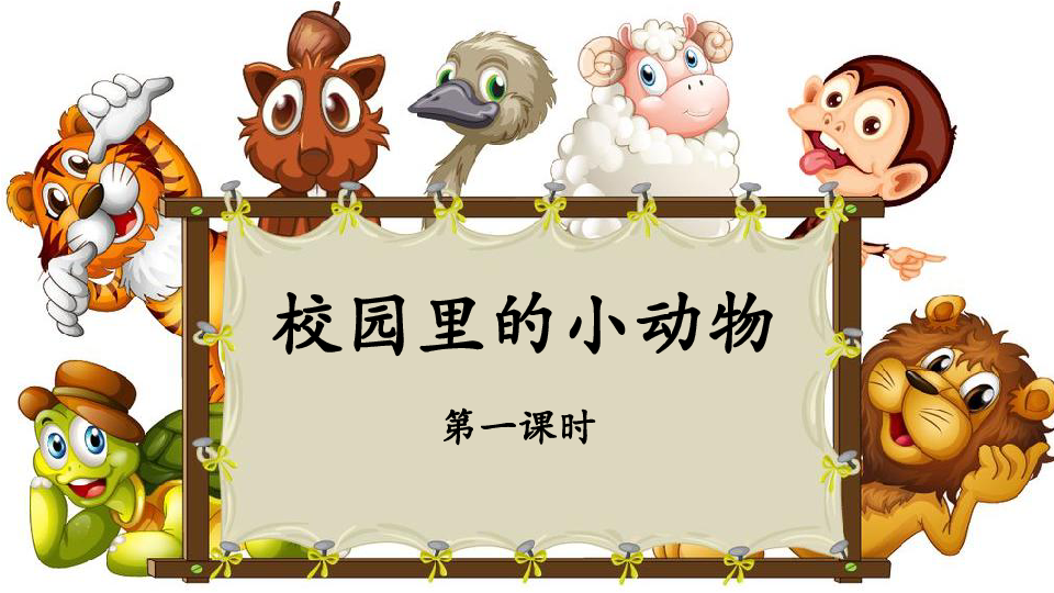 校园里的小动物 课件(13ppt)