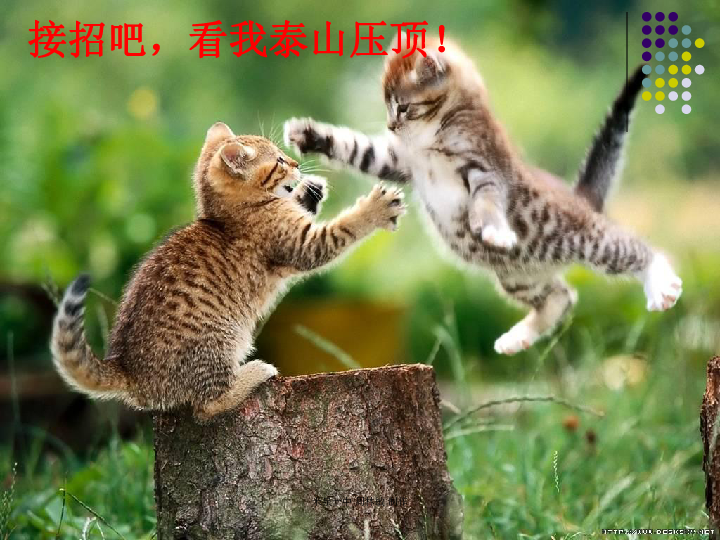 042d30305bd96fb0a0b1b2cdb2d0e244.png