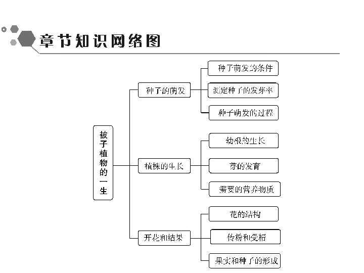 第3单元 第2章 第1节 种子的萌发(共49张ppt)