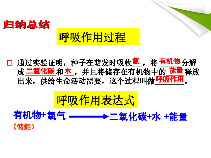 生物绿色植物的呼吸作用课件(24张ppt)