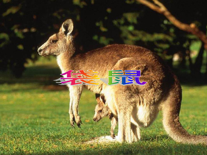 056f55169122fb42f0bbe6f583525c45.png