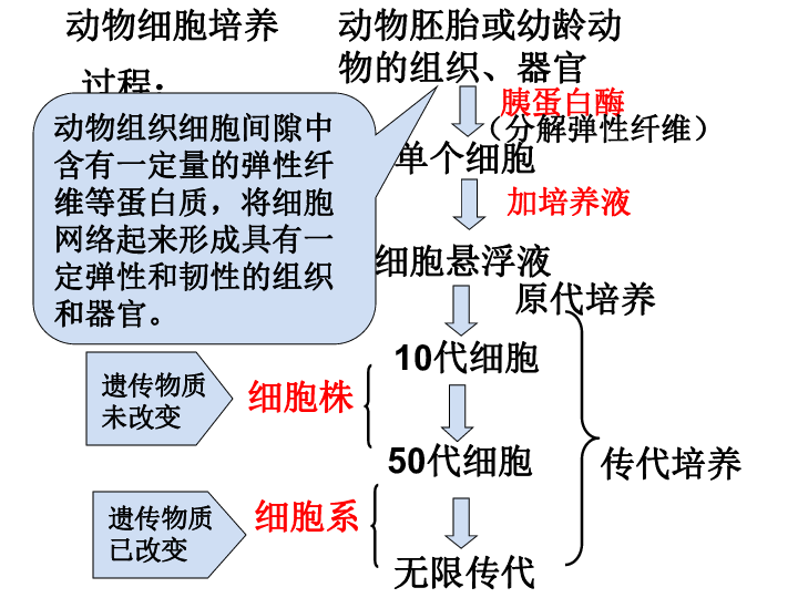 人口增殖_细胞的增殖思维导图(2)