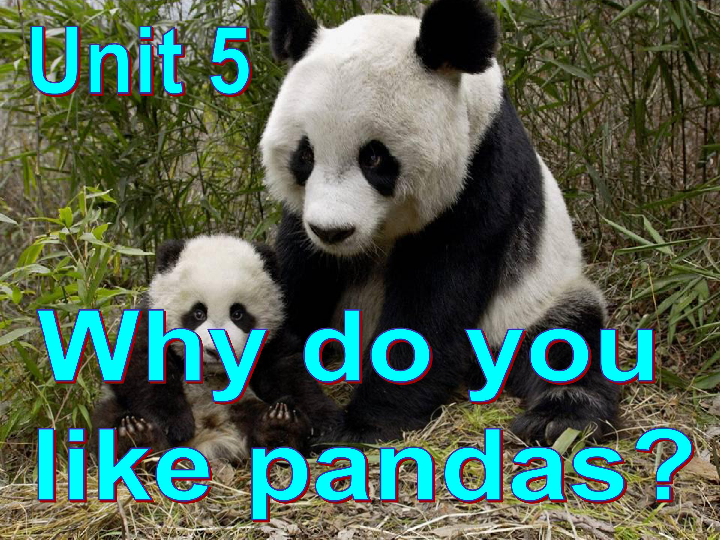 065afc4b3ea1b1e9a2edd8e4072af8eb.png