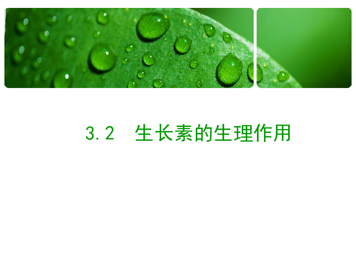 人口两重性_人口普查图片(3)