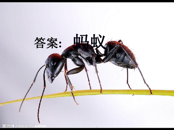 090923a3b3872bca73e77b85991777c7.png