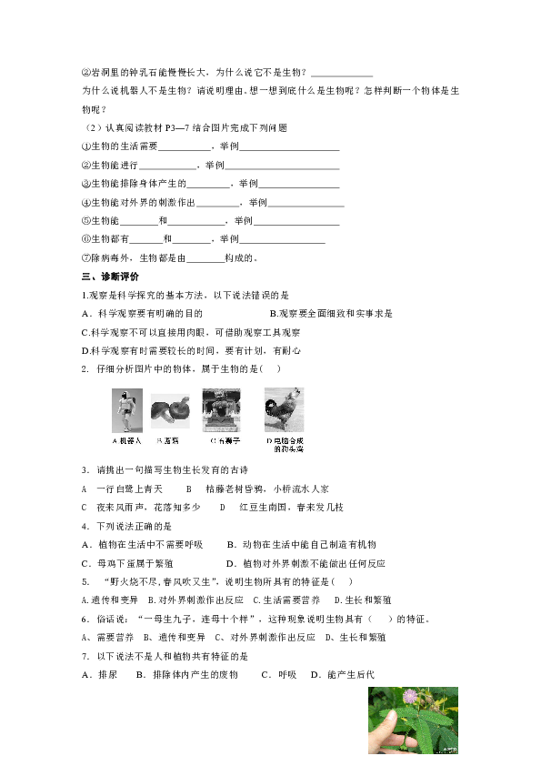 泰安人口特点_泰安太阳部落图片(3)