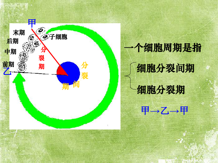 人口增殖_...0年以来的世界人口增殖率(红色部分)-能源与环境问题评议