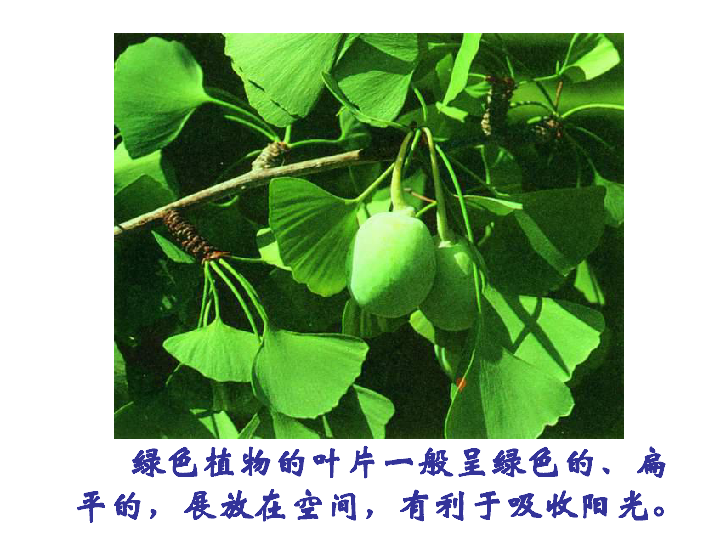 0ed1a2089d658e47783d08036f7af297.png