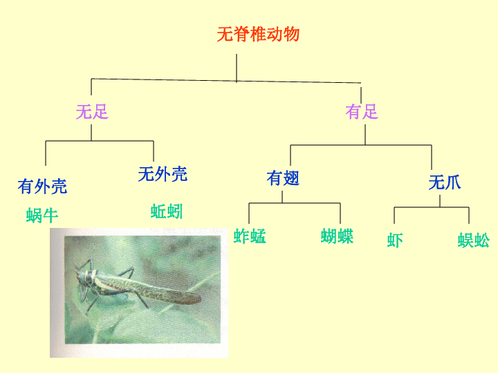 检索表