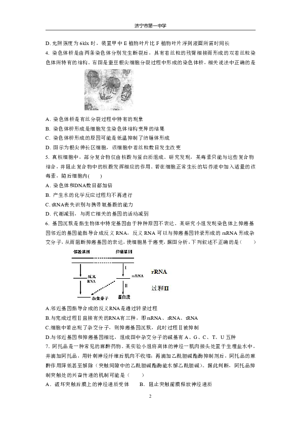 高中生物试讲教案模板_高中数学15分钟试讲教案模板_高中音乐试讲教案模板