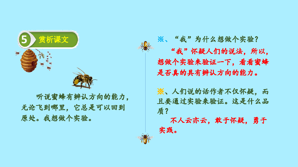 三年级下册语文-蜜蜂(17张ppt )课件