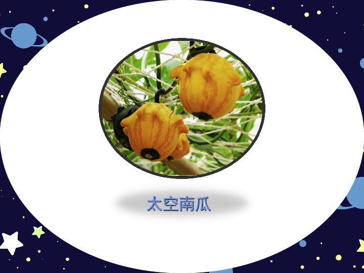 11太空里的植物 课件(19张幻灯片)