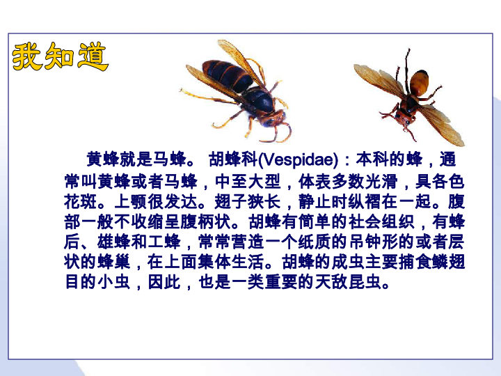 149631a8f6eb3b8ac82ba0d516608b67.png