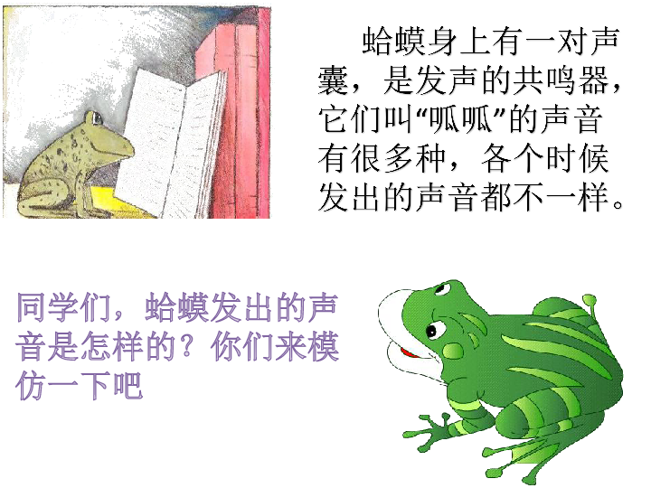 二年级上册音乐课件 2.2《花蛤蟆 人教新课标(共23张ppt)