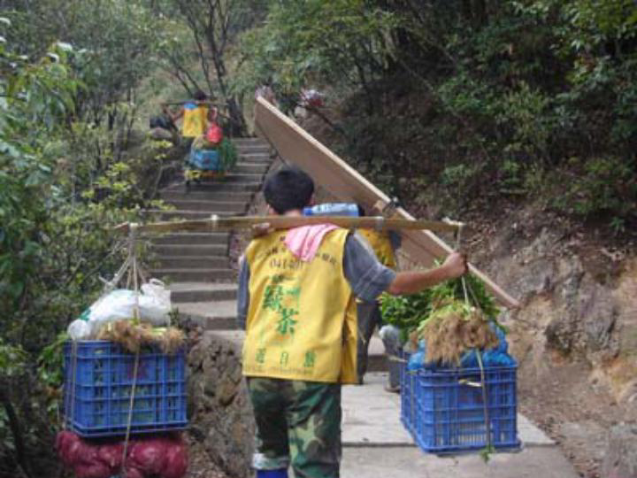 画一画,挑山工登山走的路线.