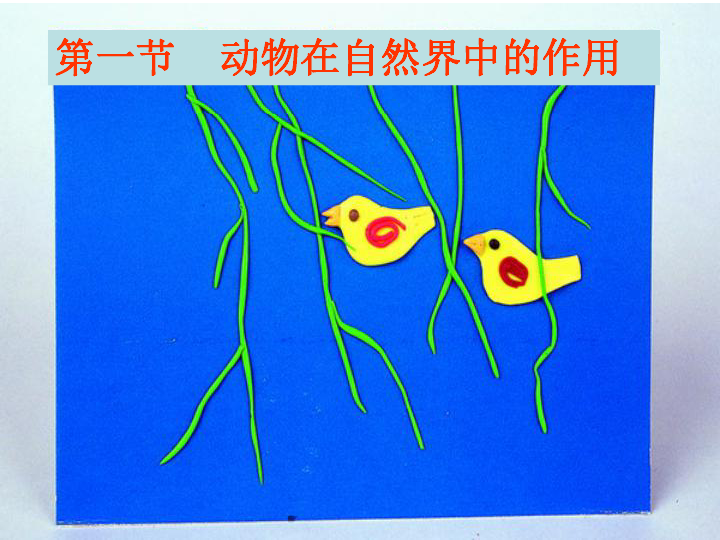 铺什么盖什么成语5个_猜5个成语图片答案(3)