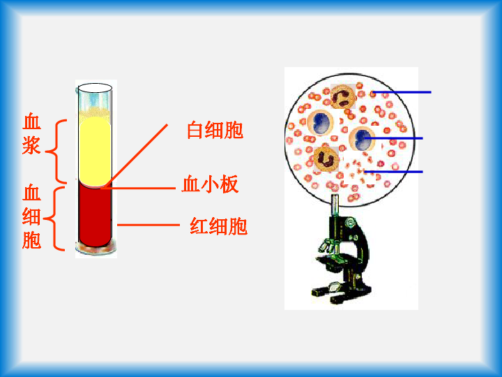 人口与环境英语ppt_2015届中考英语 人教版 总复习 书面表达 环境保护 共15张P(2)