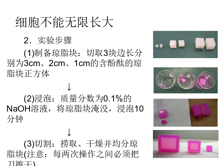 人教版必修1第六章第一节细胞的增殖(共22张ppt)