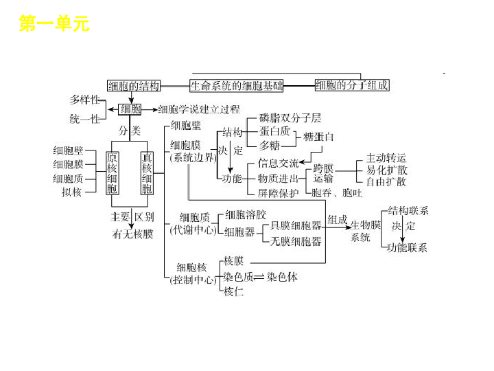 浙江人口组成_浙江各地人口流入图(3)