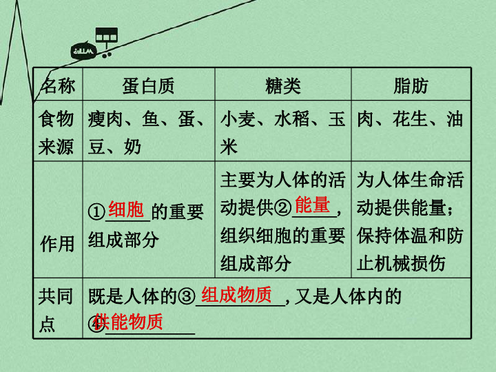 环境对人口食物的影响_食物浪费对环境的影响(2)