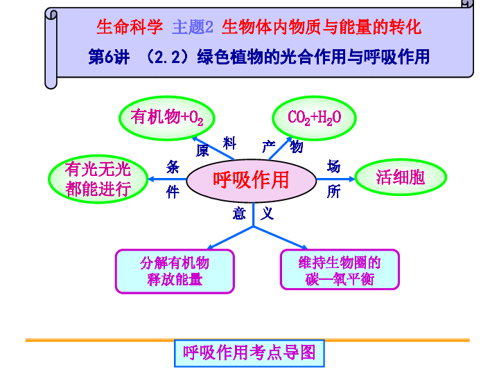 2015浙江中考衢州科学一轮复习 第6讲 绿色植物的光合作用与呼吸.