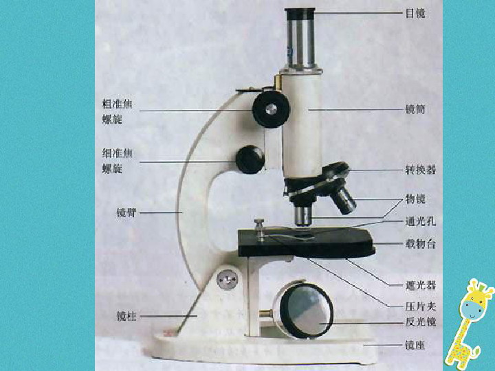 显微镜原理的结构图片_扫描电子显微镜的原理结构