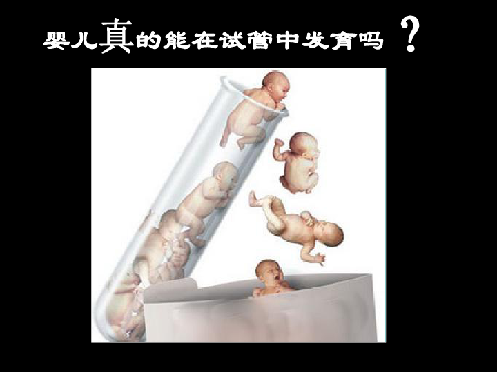 早期胚胎培养的原理_人教版生物选修三3.2 体外受精和早期胚胎培养 教学设计