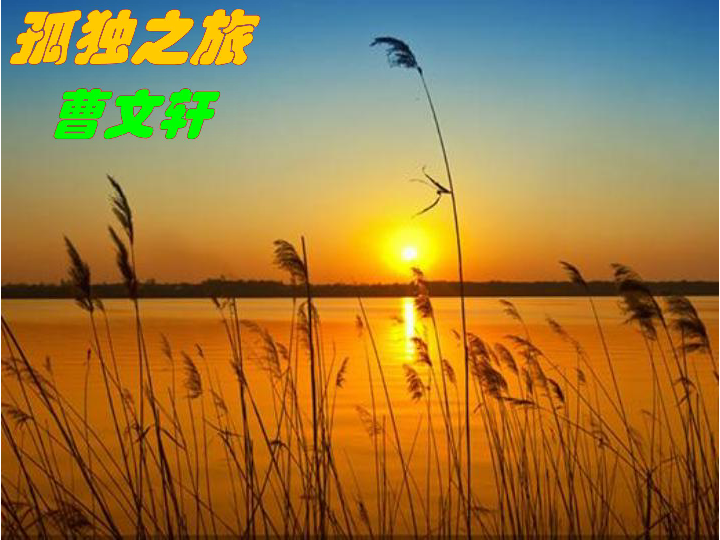 部编人教版九上第16课《孤独之旅》课件(共40张ppt)
