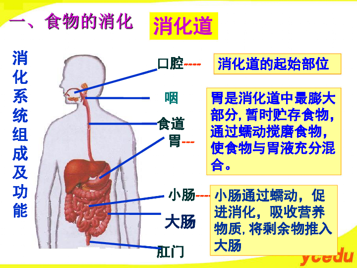 1ffc538c859a10b46683c68f7761cfaf.png