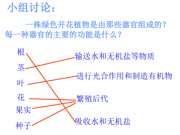 动物生物化学gdp结构_全效免疫系统 海洋所受邀撰写对虾免疫学研究综述(3)