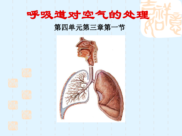 2,了解呼吸道的作用,并认识到呼吸道对空气的处理能力是有限的.