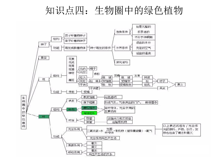 初一生物植株的生长教案_人教版初一下学期生物教案_初一生物教案下载