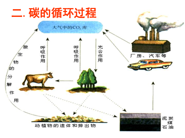 稳态人口定义_内环境稳态思维导图(3)