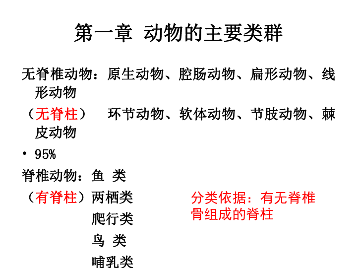 1.1 腔肠动物和扁形动物课件(共34张ppt)