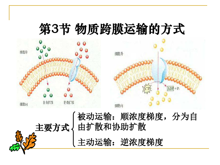 人口流动的模型_中国人口省际流动重力模型的参数标定与误差估算(3)