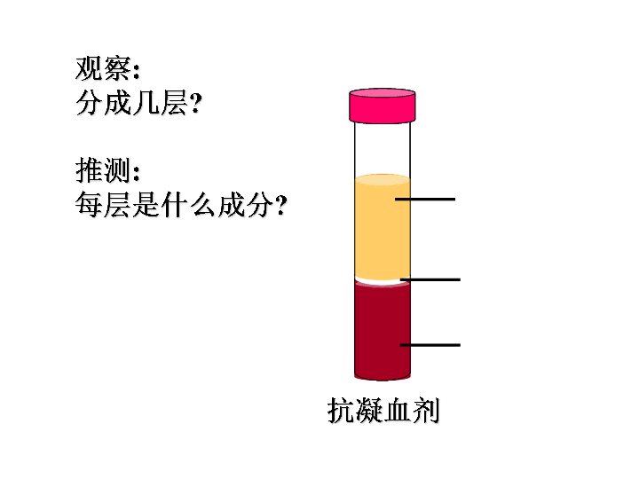 人教版七年级下册生物第四章《第一节 流动的组织——血液》课件 .