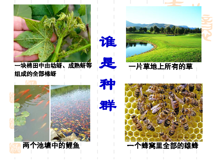 扬州人口特点_扬州炒饭图片(3)