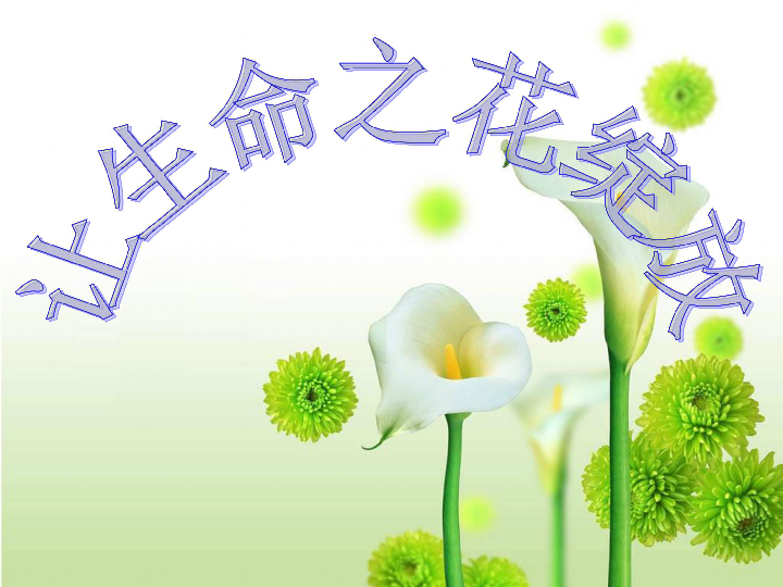 生命之花简谱_生命之花图片