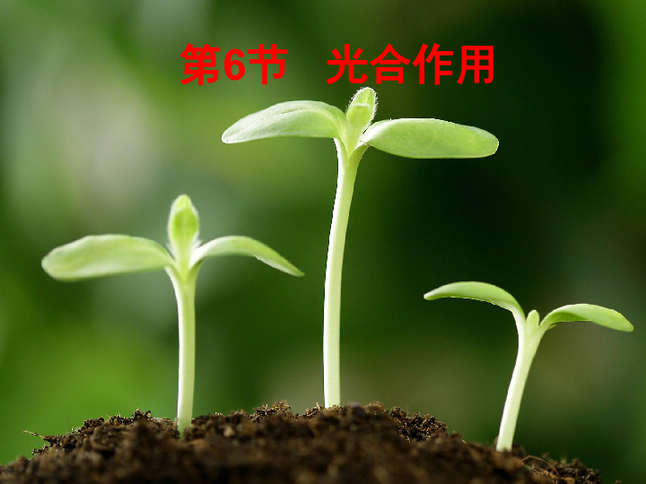 2d72b5ce6c2fcca52f09336e529caf5f.png