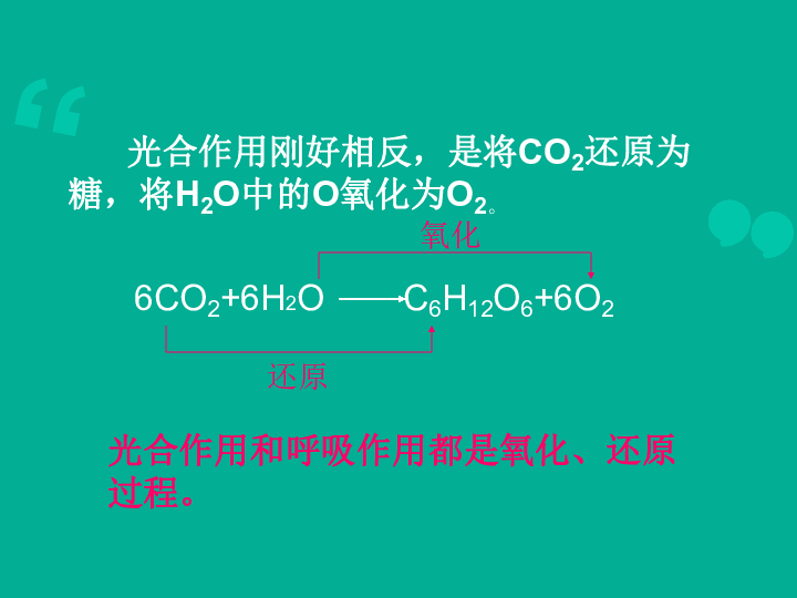 呼吸门控技术ppt,呼吸门控技术名词解释