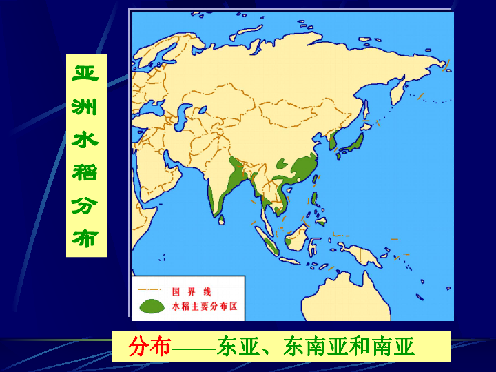 世界主要的农业地域类型 混合农业 水稻种植业大牧场放牧业商品