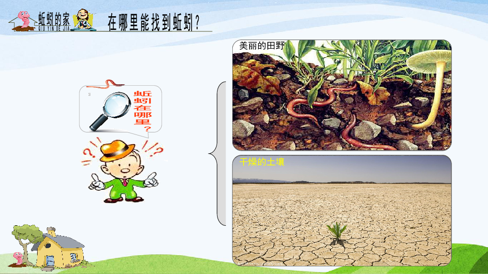 13《蚯蚓的家》(10ppt)