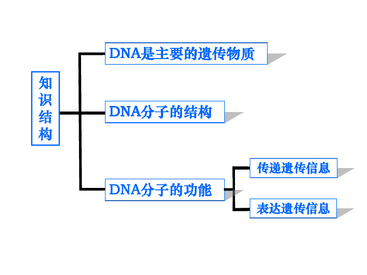 肺炎双球菌转化实验的实验原理是什么(3)