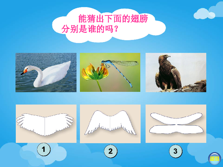 美术一年级下湘教版15会飞的翅膀课件