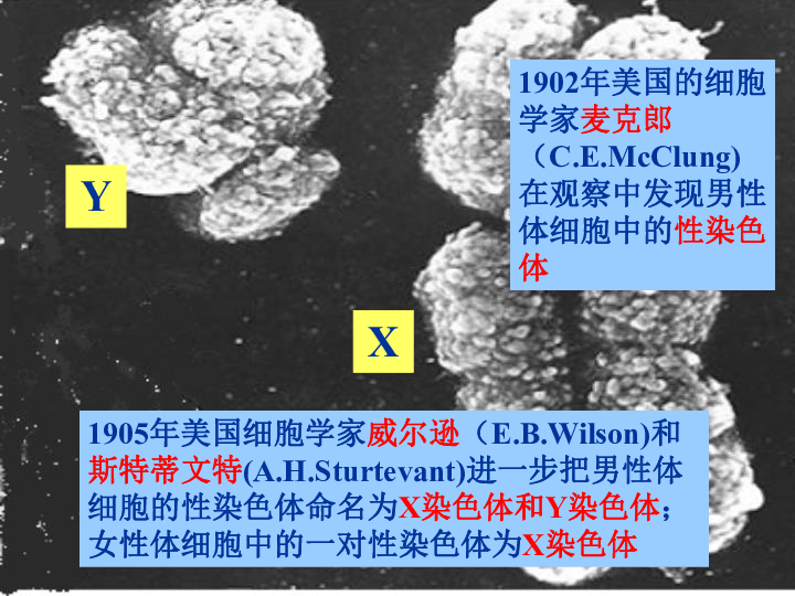 美国人口女孩名字排行H_美国女孩(2)