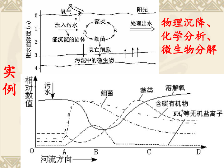 课程标准新教案·生物七年级上_课程标准新教案·生物八年级上_生物教案下载