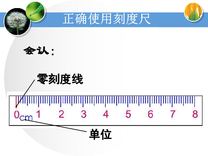 长度单位有哪些