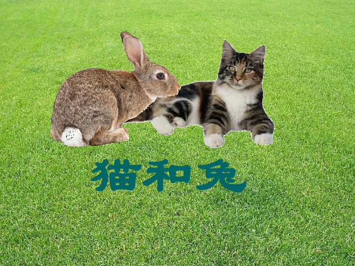 419507183ba136f6b91bdb435964b483.png